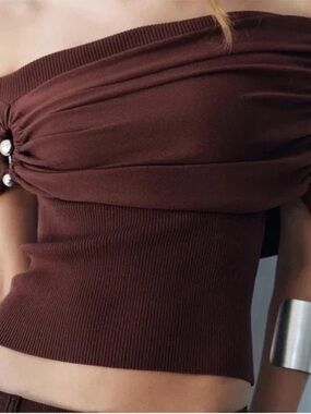Zara Off-Shoulder Ring Knit Top in Brown